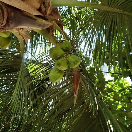 Tiwi Beach Resort & Spa Mombasa Dış mekan fotoğraf