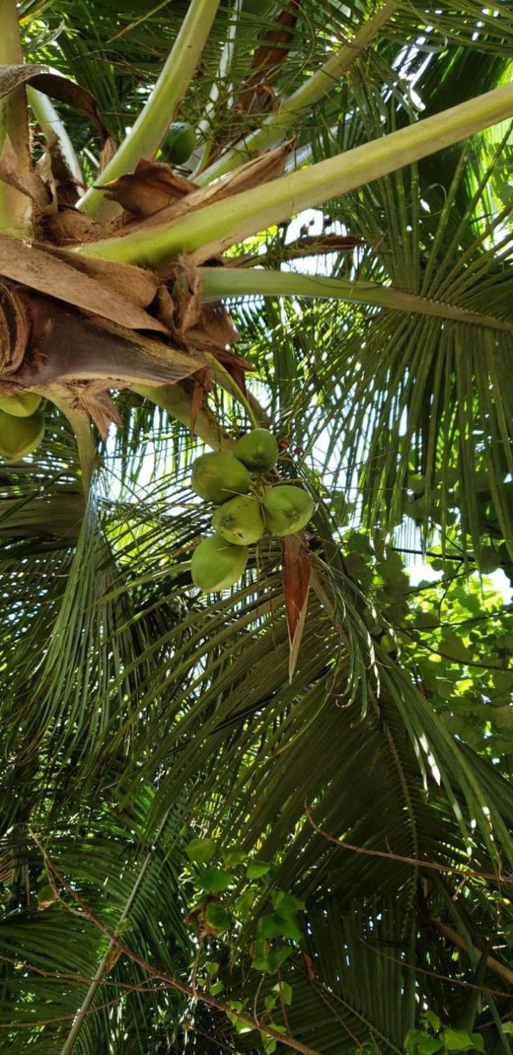 Tiwi Beach Resort & Spa Mombasa Dış mekan fotoğraf